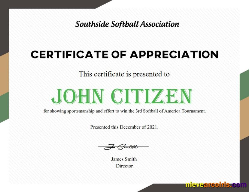 USA Softball certificate